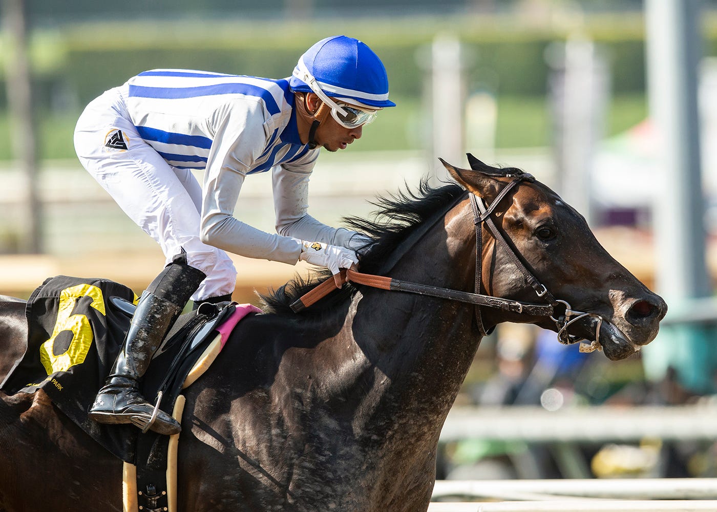 Smith picks up mount on Geaux Rocket Ride for Haskell